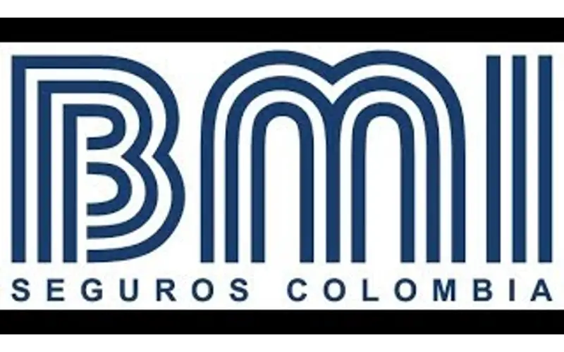 Logo BMI 4(1)